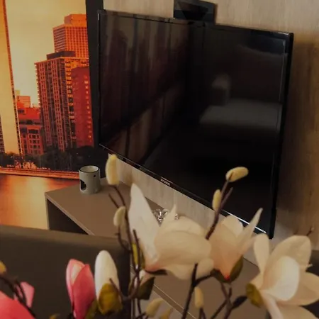 Newly Renovated Apartment *